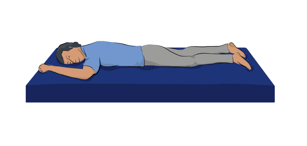 prone position definition prone position definition