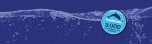 Dolphin Therapy - 3,000 Outcomes Banner